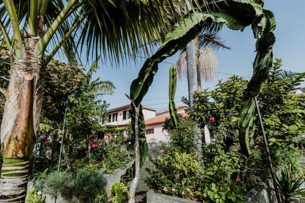 City View Gardens Villa Funchal  Exterior photo