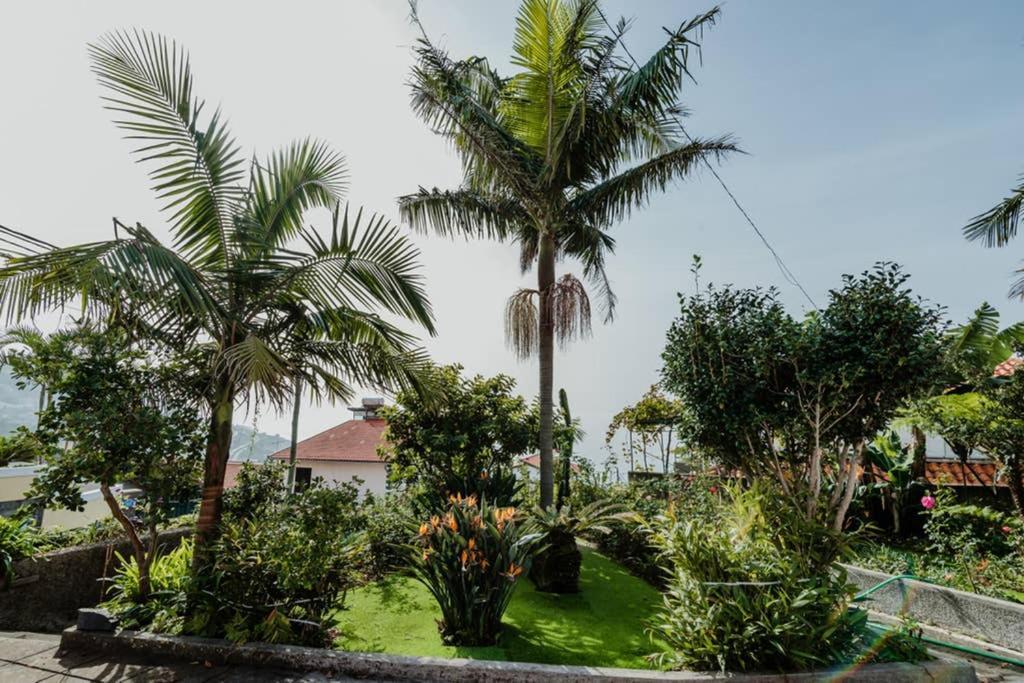 City View Gardens Villa Funchal  Exterior photo