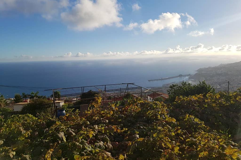 City View Gardens Villa Funchal  Exterior photo