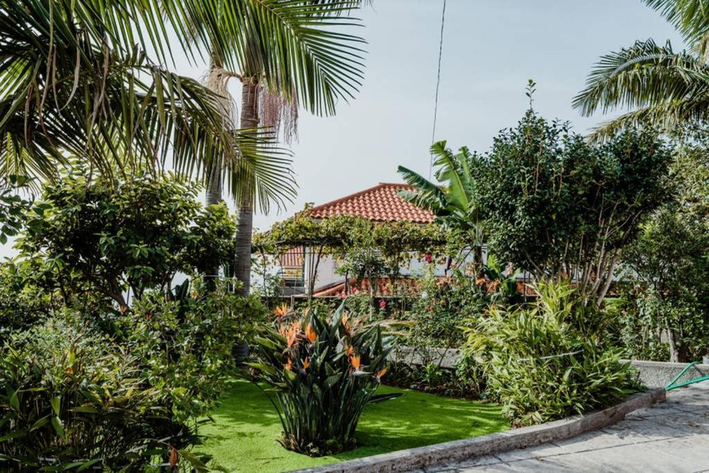 City View Gardens Villa Funchal  Exterior photo