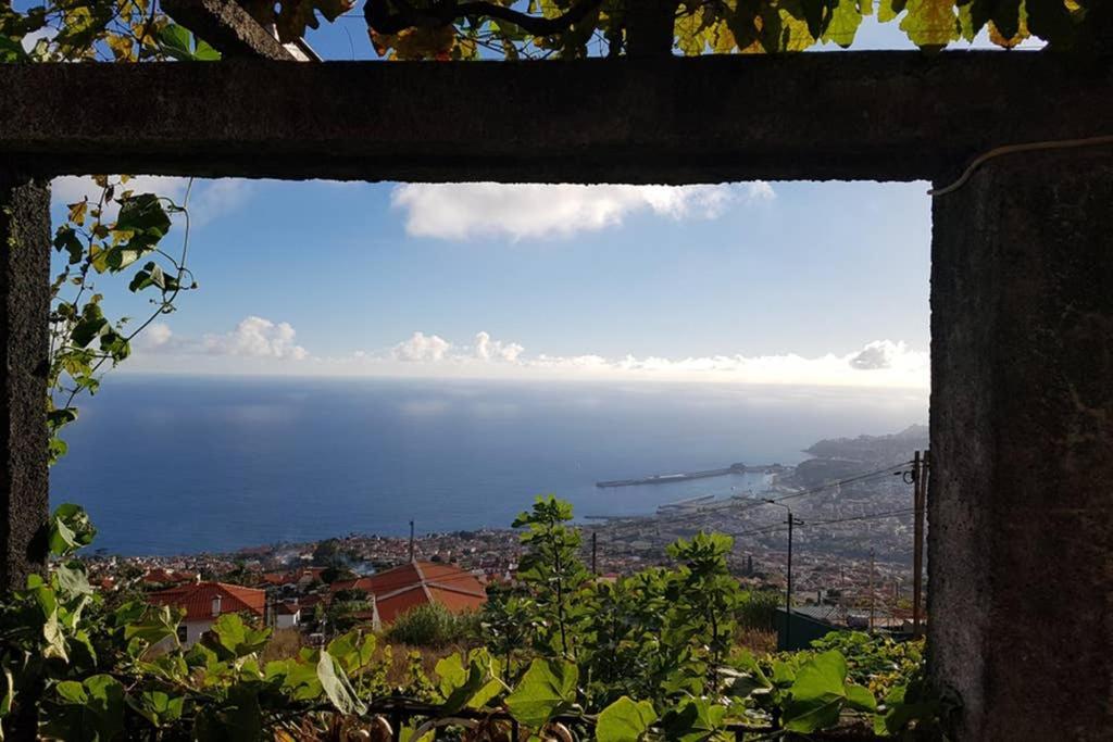 City View Gardens Villa Funchal  Exterior photo